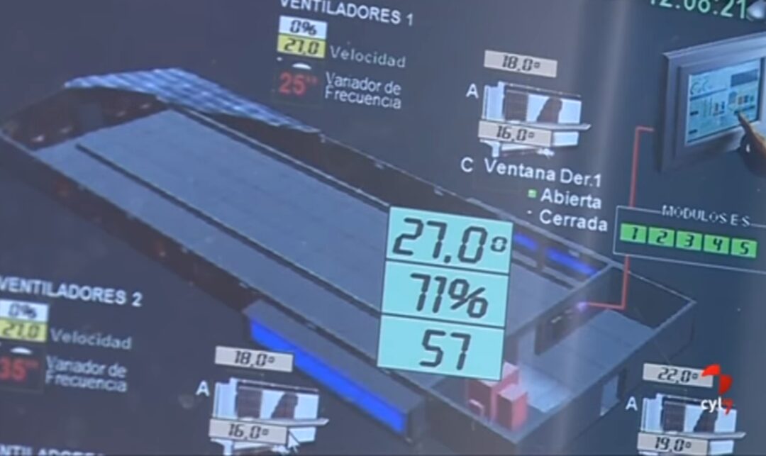 Ovejas en hotel 5 estrellas