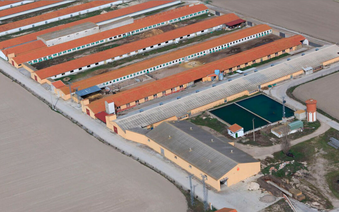 Hay que innovar, no ser uno más